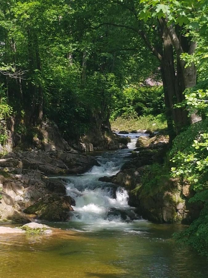Hejnice Retreat Екстер'єр фото